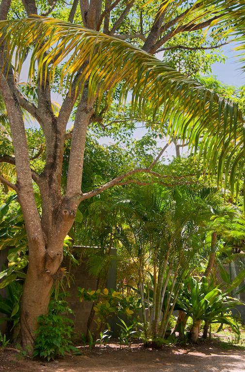 Villa Gardens Retreat à Pereybere Beach Extérieur photo